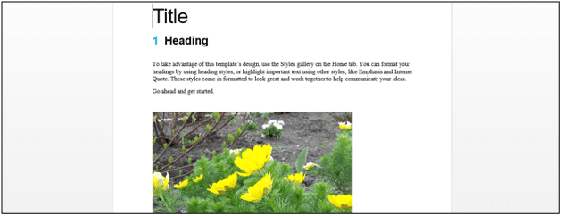 Sample Word File