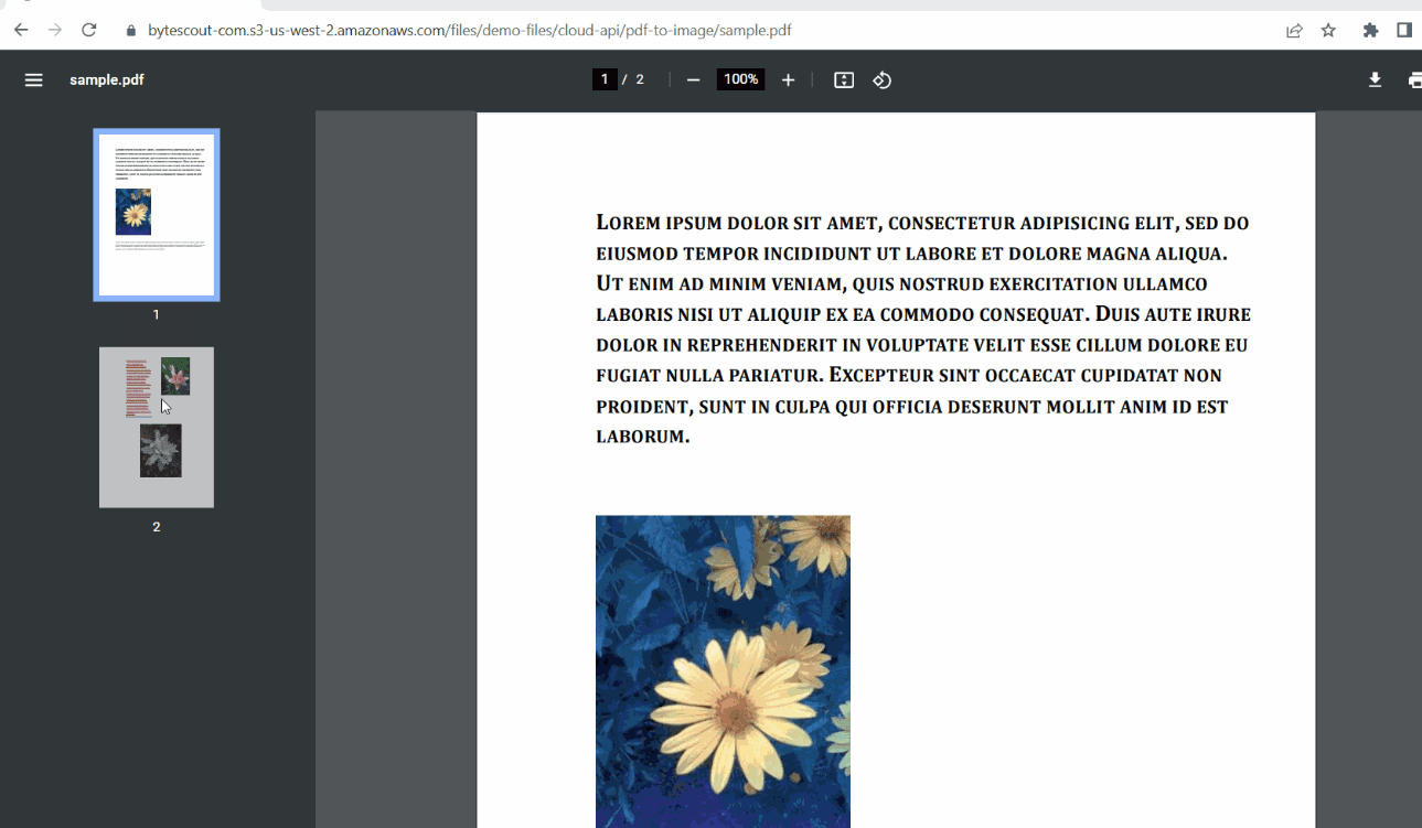 Sample PDF