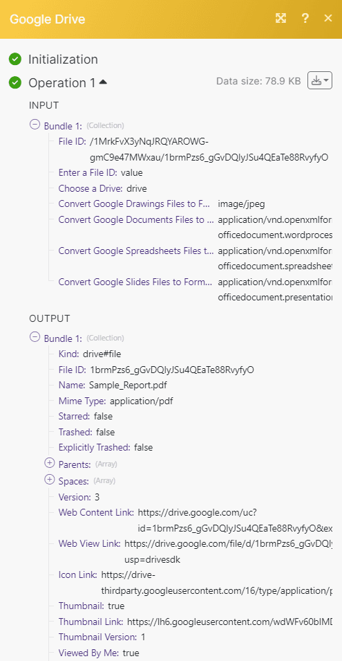 Google Drive Result