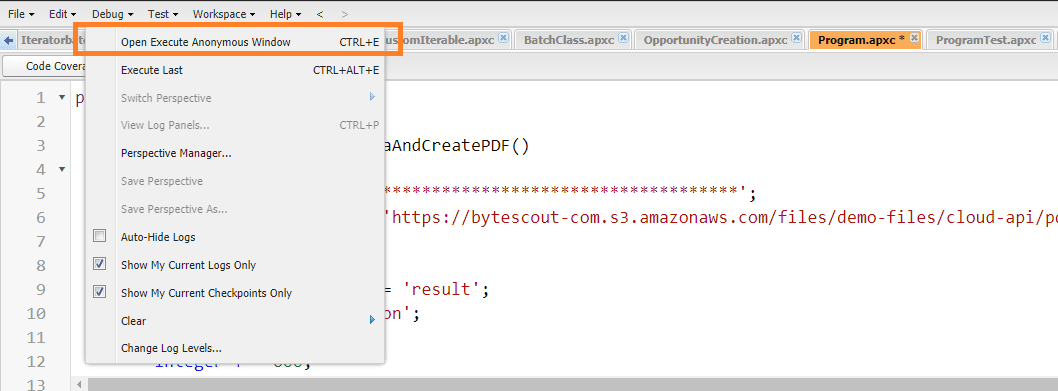 Execute Anonymous window