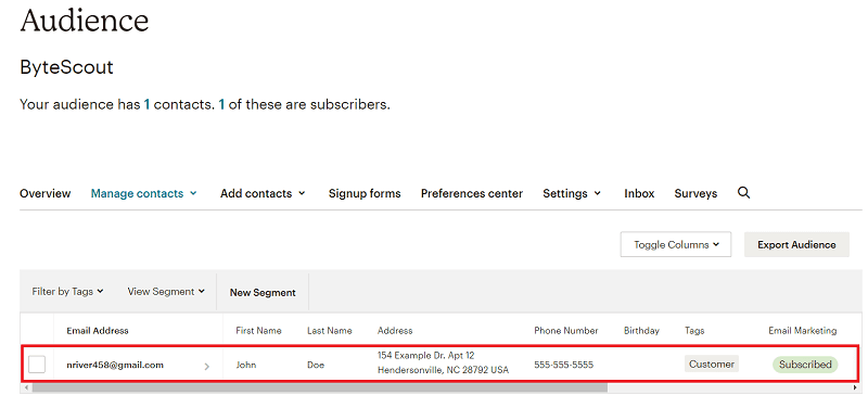 Screenshot of Subscribers in Mailchimp